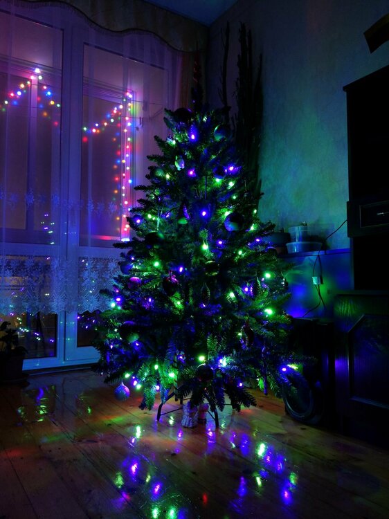 2020-12-11_18-20-36 (1) (1).jpg