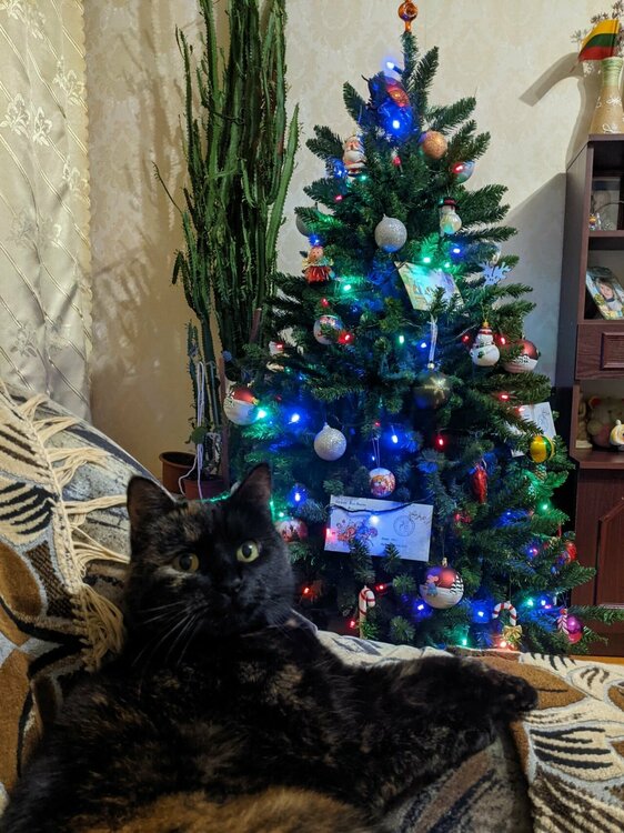 PXL_20201216_200115219 (1) (1).jpg